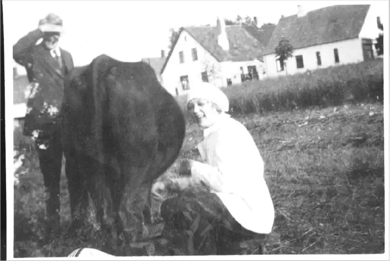Fru Jensen skulle malke og vaske spande tre gange om dagen. Her er det dog Alberta, der malker på Ravnstrupgård i Græsted i 1920.