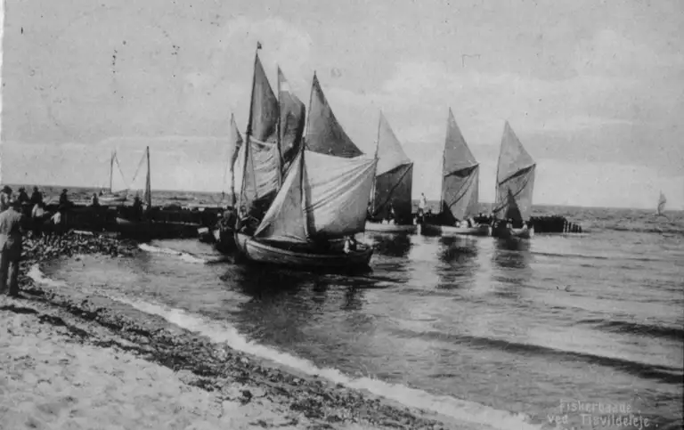 Fiskerbådene kommer ind til stranden i Tisvildeleje med sildefangst, ca. 1910